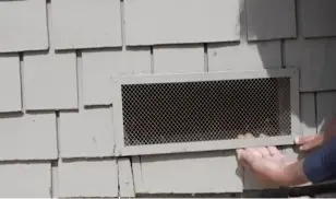 Roof Rat Nesting in Attic Insulation Near Clear Creek